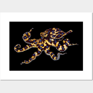 Blue Ringed Octopus Posters and Art